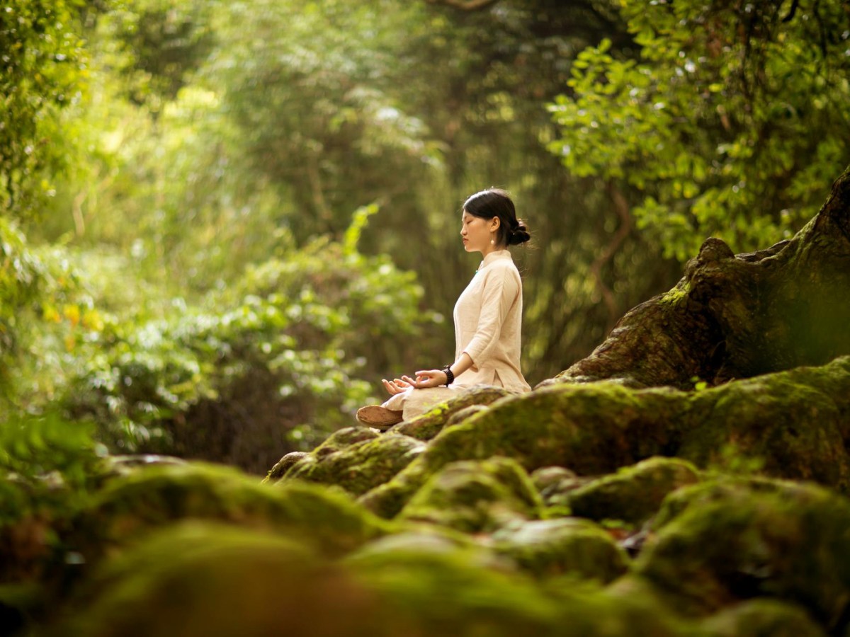 The Quiet Turning&nbsp;Inward
